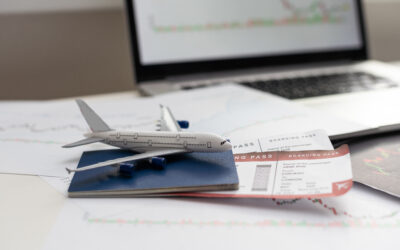 Taking Flight: Elevating the Airline Passenger Experience Through Comprehensive Mystery Audits